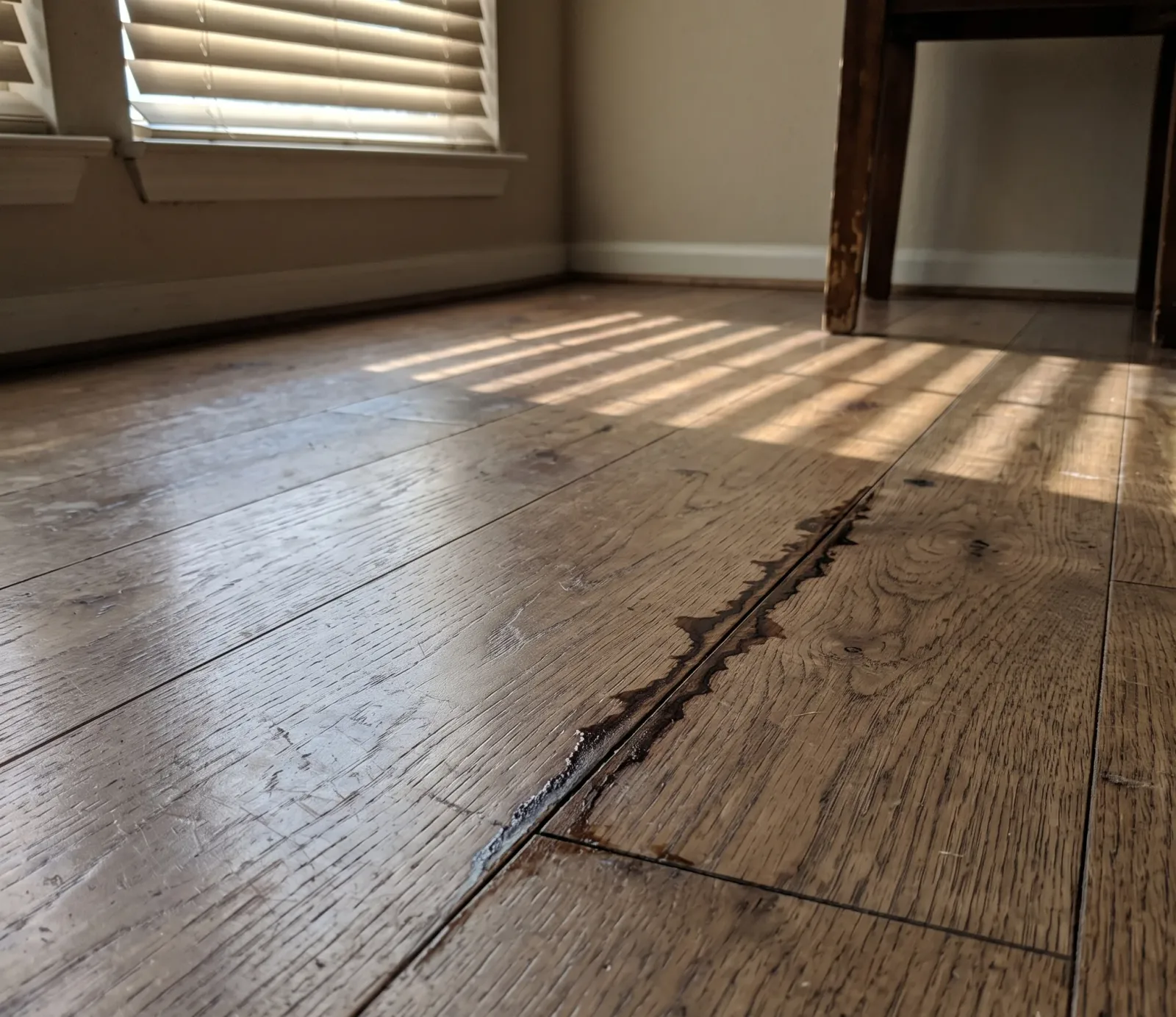 Hardwood Floor Water Extraction service in Concord, NC